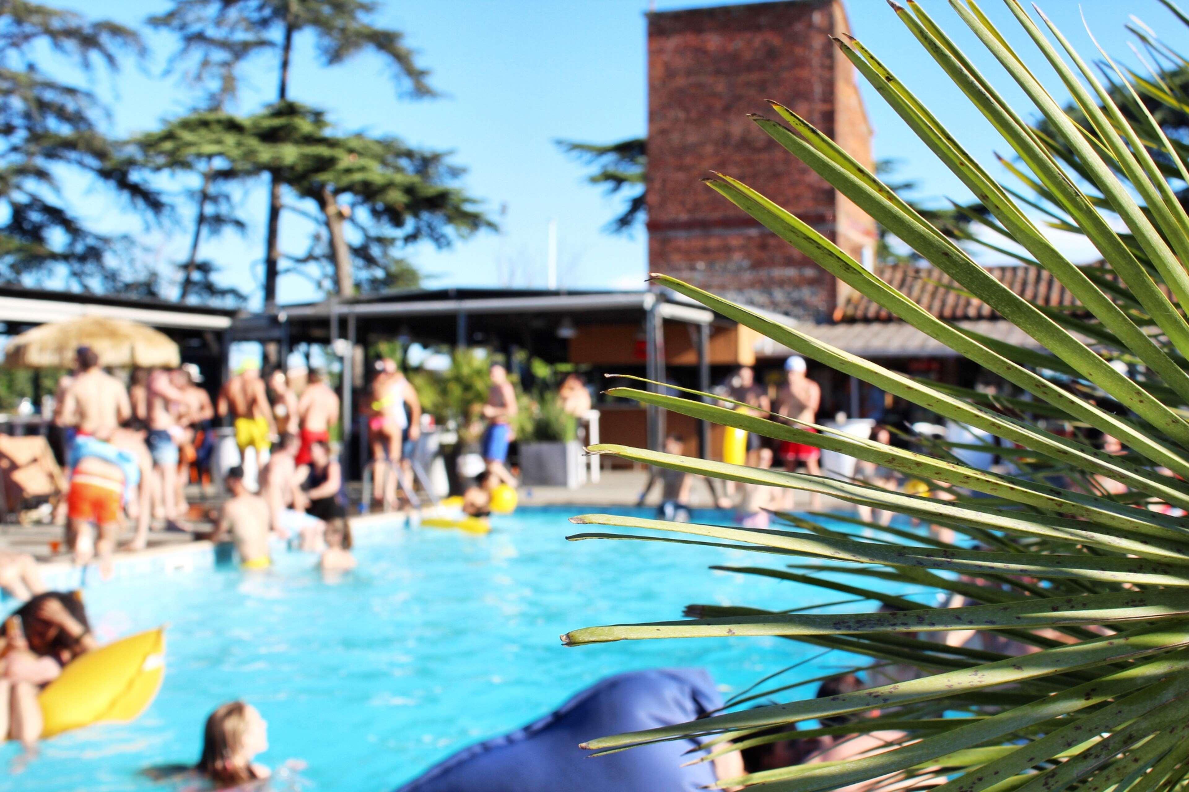 Western Le Canard Sur Le Toit Colomiers